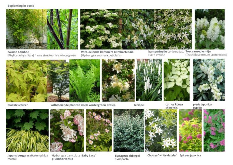 Naamloze presentatie (5)