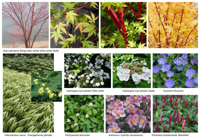 Naamloze presentatie (7)