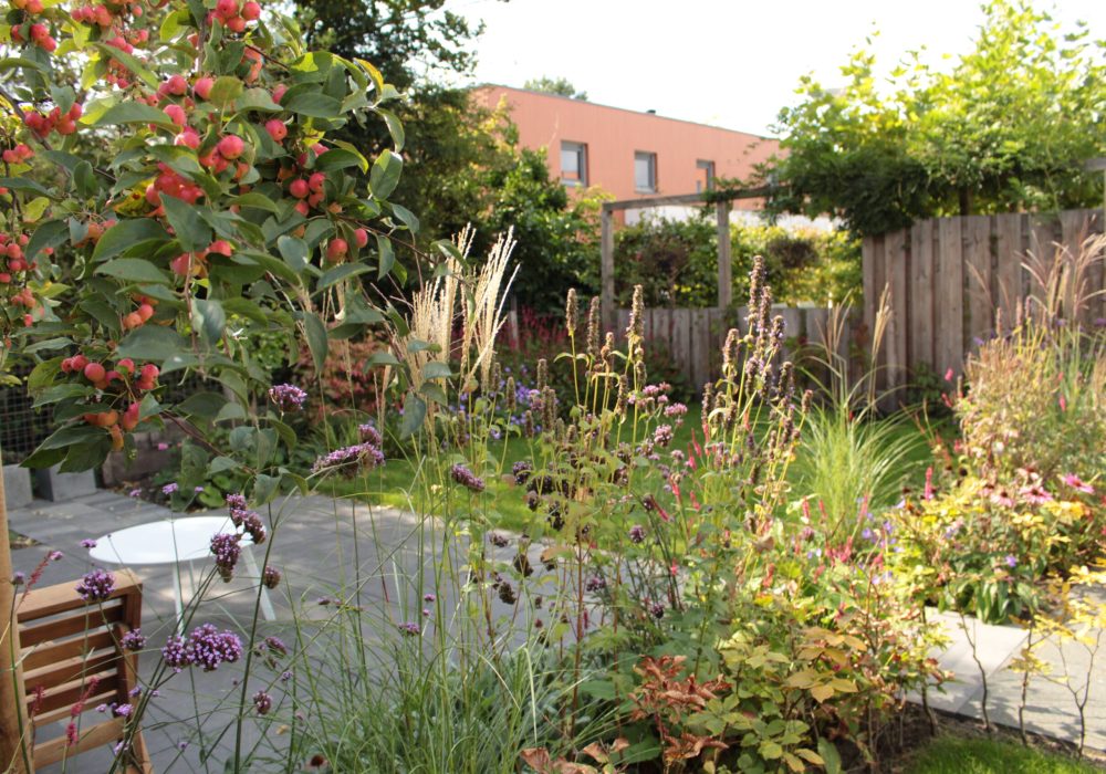 composities bloemen vruchten grassen....